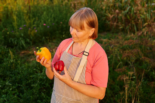 A woman stands in a garden at sunset holding a yellow pepper in one hand and a red pepper in the other. She looks at the peppers with focus