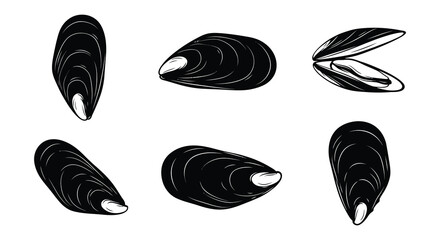 Black mussel shells illustration a vector graphic on a white background © MdNirob