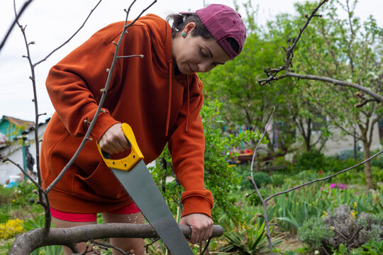 A woman is sawing a tree.