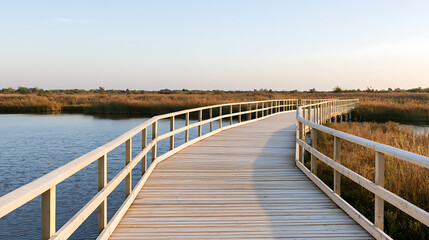 Naklejka premium A serene wooden boardwalk curve through a scenic wetland nature reserve, leading toward calm water and tall grass under a clear blue sky