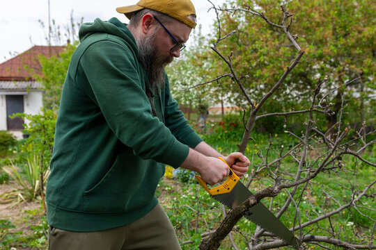 A man is sawing a tree.