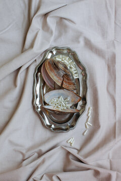 Empty mussel shells   lie on a metal tray 