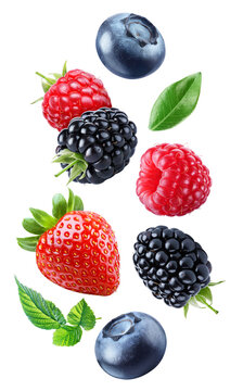 Strawberry, raspberries, blackberries and blueberries floating separately with green leaves in a vertical arrangement isolated on transparent background.