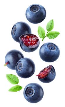 Whole bilberries and cut berries showing red flesh floating with green leaves in a vertical arrangement isolated on transparent background.