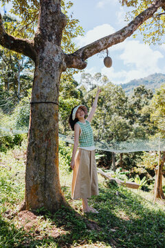 Woman reaching for ripe durian fruit on tropical orchard tree