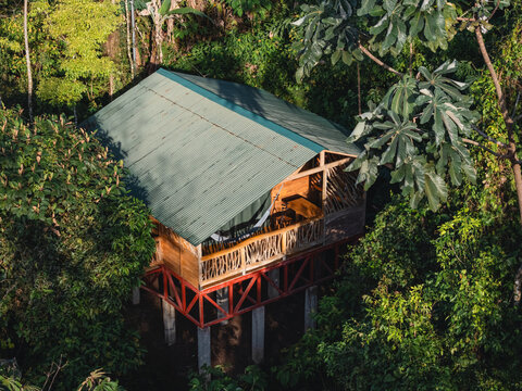 Wooden stilt house hidden in lush jungle foliage