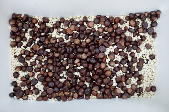 Sensory bin 