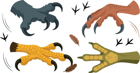 Fototapeta premium Bird Claws and Talons Vector Illustration Set Featuring Eagle Hawk Chicken Predator Paws Sharp Nails Footprints and Feathers Graphic Elements