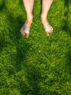 Bare Feet on Green Grass Under Sunlight