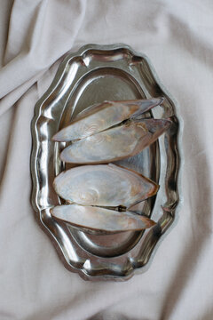 Empty mussel shells   lie on a metal tray 