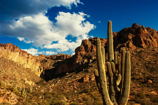A scenic landscape of the American south west desert.