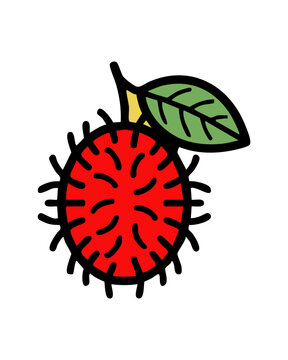 Hand drawn cartoon illustration of a fresh rambutan fruit.