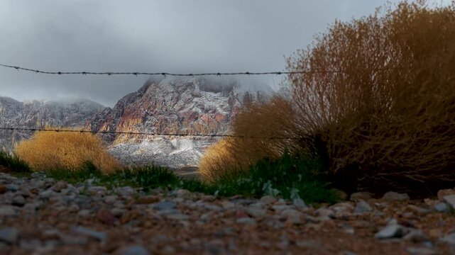 Red Rock Mountains and Tumbleweeds Nevada Desert Landscape Ground Level