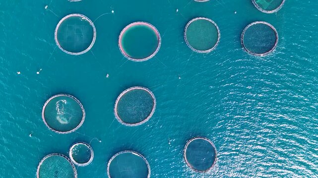Aerial top down view of a large fish farm in Corfu