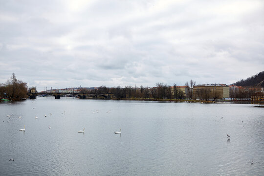 Panoramic view of Vltava River with Legion Bridge and swans in Prague