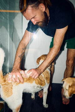 Man applies shampoo to his dogs in the shower