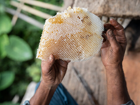 Traditional Bee Keeping 