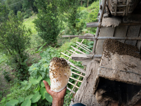 Traditional Bee Keeping 