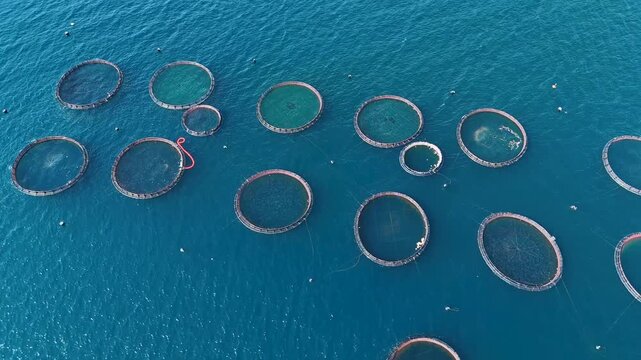 Aerial view of a fish farm in the turquoise sea of Corfu, Greece