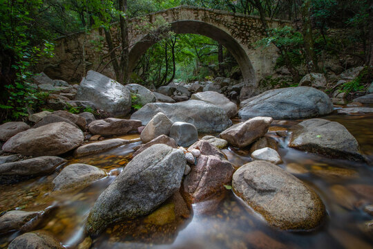 Historic Pont de Zaglia stone arch bridge over the Tavulella stream in Spelunca Gorge, surrounded by lush forest and smooth flowing water in Corsica, France.