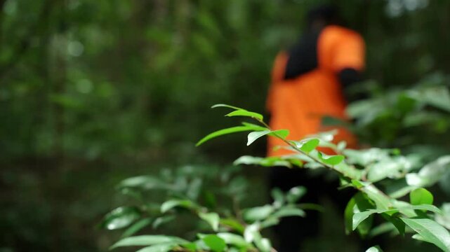 Close up Man trail running through a forest during an outdoor workout. He challenges himself to improve fitness and endurance while pursuing personal goals and a healthy active lifestyle.
