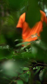 Close up Man trail running through a forest during an outdoor workout. He challenges himself to improve fitness and endurance while pursuing personal goals and a healthy active lifestyle.
