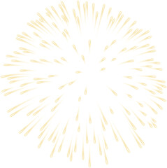 Obraz premium Firework