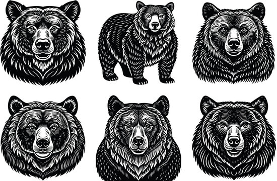 vector bear silhouette