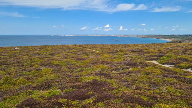 Beau panorama sur le nord de la presqu'&icirc;le de Crozon depuis les landes de bruy&egrave;re du Cap de la Ch&egrave;vre, e long du GR34 (Finist&egrave;re, Bretagne)
