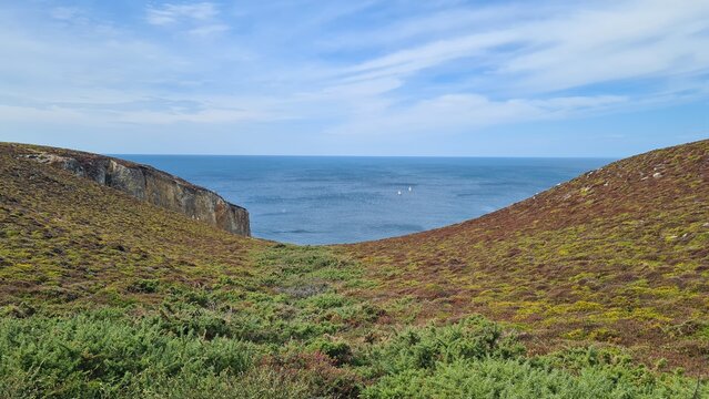 Magnifique paysage de landes de bruy&egrave;re et de mer d'huile le long de la c&ocirc;te bretonne (Cap de la Ch&egrave;vre, presqu'&icirc;le de Crozon, Finist&egrave;re, Bretagne)