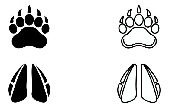 Bear Paw Prints Set, Isolated Animal Tracks Illustration, Wildlife Footprint Design, Vector Graphic for Nature Concept.