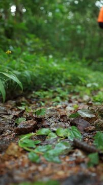 Close-up of a man's running shoes splashing through water on a forest trail. Extreme outdoor sport highlights endurance, adventure, fitness goals and the challenge of an active lifestyle.
