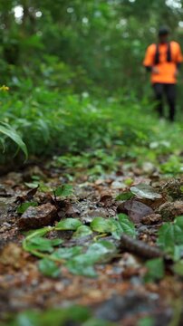 Close-up of a man's running shoes splashing through water on a forest trail. Extreme outdoor sport highlights endurance, adventure, fitness goals and the challenge of an active lifestyle.
