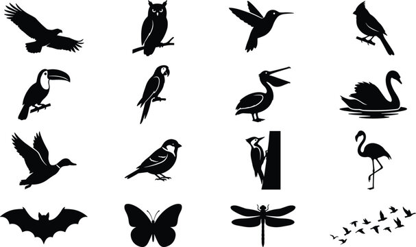 Flying animals silhouette vector collection featuring birds owl eagle parrot butterfly bat and dragonfly isolated on white background