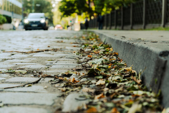 Fallen leaves and debris along a roadside curb with blurred vehicle traffic in the background on an urban street