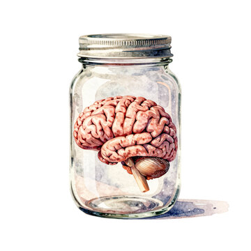 Human brain preserved inside a glass jar with a metal lid