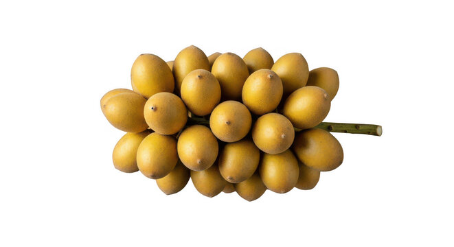 Fresh ripe raw dates on branch with vibrant yellow skin for healthy snack.