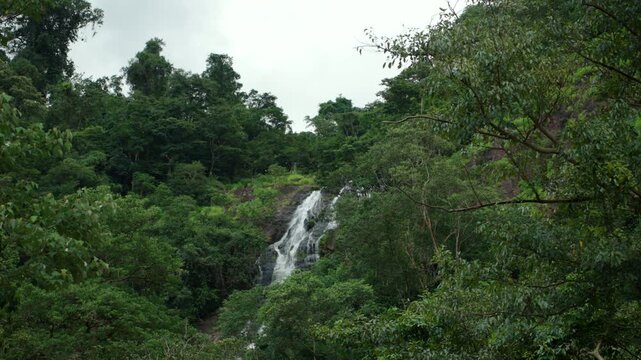 Beautiful waterfall flowing through a lush forest. The natural water source highlights clean water, nature conservation and biodiversity while supporting a healthy ecosystem and sustainable future.
