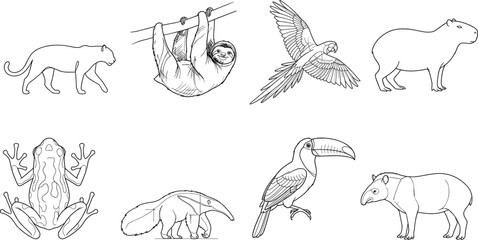 Naklejka premium Tropical Wildlife Line Art Collection with Jaguar Sloth Parrot Capybara Frog Toucan and Tapir