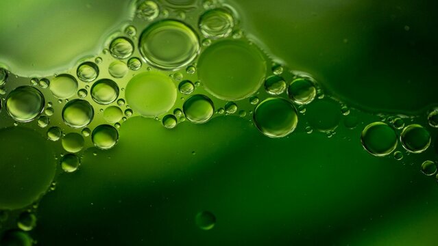 Abstract green oil and water bubbles macro background for science or cosmetic design