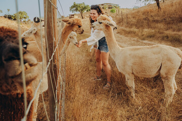 A woman interacts with alpacas at a rehabilitation center in Alentejo, Portugal. The scene shows animals being fed. The environment is sunny with dry grass typical of autumn. © SValeriia