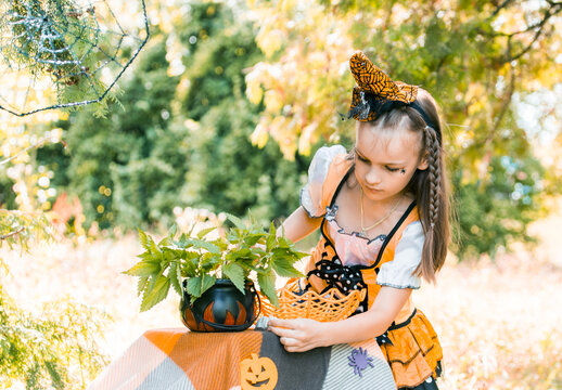 Girl Arranging Decorations for Halloween in Autumn Setting With Pumpkins and Spiderweb