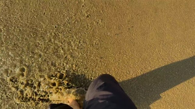 Pies de una persona caminando sobre la orilla del mar en la costa en la playa del océano pacífico sobre la arena dorada en un hermoso atardecer disfrutando de la libertad y de la tranquilidad