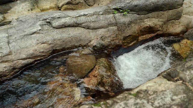 Clear stream flowing over small rocks in a lush forest. Freshwater sustains life and nature while highlighting water conservation biodiversity and environmental protection for a sustainable future.
