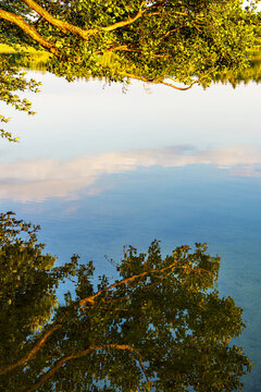 Spiegelung mit See und B&auml;umen in Seedorf am Schaalsee