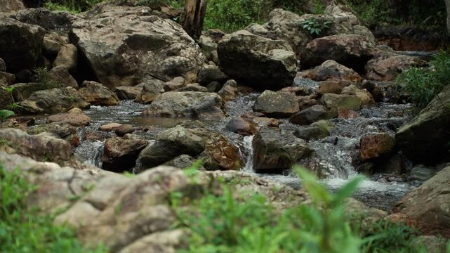 Clear stream flowing over small rocks in a lush forest. Freshwater sustains life and nature while highlighting water conservation biodiversity and environmental protection for a sustainable future.
