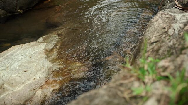 Clear stream flowing over small rocks in a lush forest. Freshwater sustains life and nature while highlighting water conservation biodiversity and environmental protection for a sustainable future.
