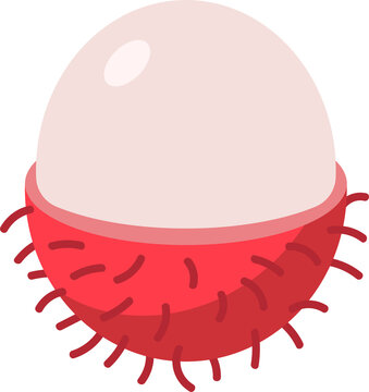 Rambutan Tropical Fruit Vector Illustration with Red Hairy Peel and White Fresh Flesh Flat Design Icon for Food and Healthy Living Concepts