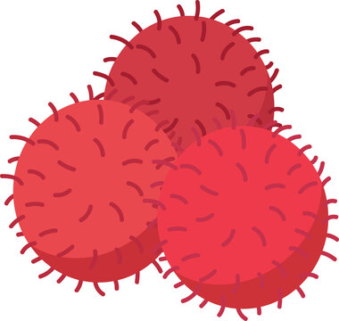 Red Rambutan Tropical Fruit Illustration Vector Set Flat Design Exotic Sweet Asian Fruits Collection