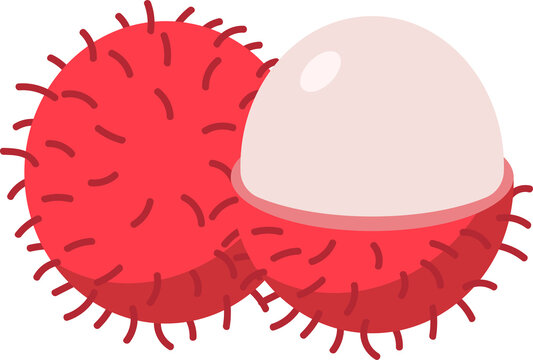 Rambutan Fruit Illustration Flat Vector Design Exotic Tropical Fruit with Red Skin and White Pulp for Organic Food Graphic